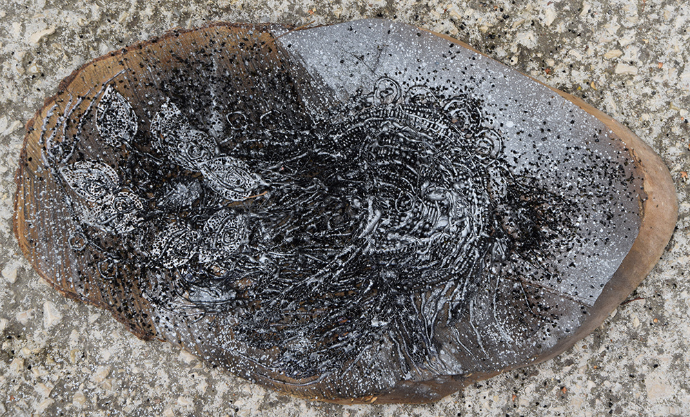 Fossile - 5 par Zandrine C